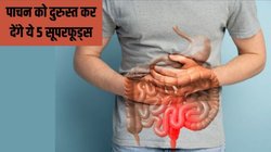 पाचन तंत्र कर रहा है परेशान तो डाइट में शामिल कर लें ये 5 सूपरफूड्स, एक्सपर्ट ने बताया गट हेल्थ हमेशा रहेगी दुरुस्त