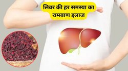 लिवर की हर समस्या का जड़ से इलाज करेगी ये औषधि, आचार्य बालकृष्ण से जानिए फायदे और कैसे करें इस्तेमाल