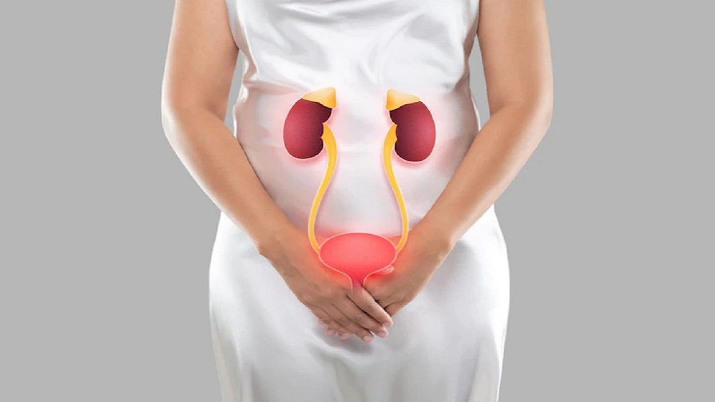 Is a kidney infection serious, How to avoid kidney infection, How to test for kidney infection, Kidney infection symptoms in women, Kidney infection treatment, What causes kidney infections in females, How fast can a kidney infection kill you