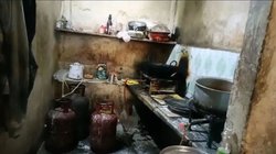 मोमोज बनाने वाली फैक्ट्री में मिला कुत्ते का कटा सिर, फ्रिज में ऐसे रखा था, डराने वाली है पूरी खबर