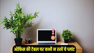 Vastu tips, vastu tips for work, vastu tips for office