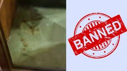 Pan Masala Ban: यूपी विधानसभा में विधायक जी को पान मसाला खाना पड़ेगा भारी, पकड़े गए तो लगेगा इतना जुर्माना