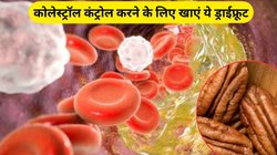 काजू-बादाम नहीं ये ड्राईफ्रूट है कोलेस्ट्रॉल का काल, ताकत से भर जाएगा शरीर, रिसर्च से हुए चौंकाने वाले खुलासे