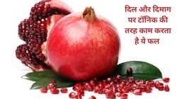 सेहत के लिए अमृत है जन्नत का ये फल, स्वाद ही नहीं हेल्थ के लिए भी अनमोल वरदान, जानें हैरान कर देने वाले फायदे