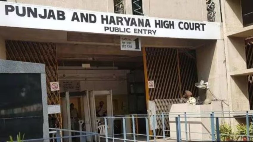 Punjab Haryana High Court, NHAI land encumbrance, Delhi-Amritsar-Katra Expressway,