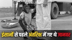 इंसानों से पहले अंतरिक्ष में पहुंच गए थे ये जानवर, अमेरिका ने भेजा था चिम्पैंजी; मकड़ियों ने भी जीरो ग्रैविटी में बुने थे जाल