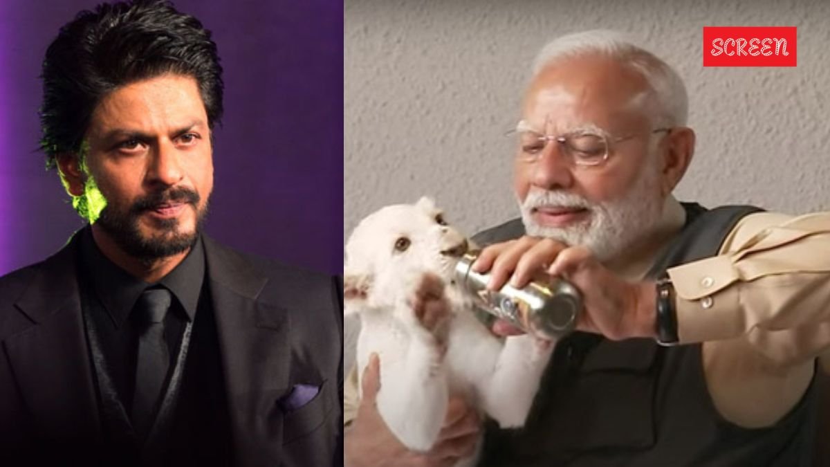shah rukh khan, pm modi vantara