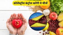 कोलेस्ट्रॉल को नेचुरली तरीके से करना है कंट्रोल तो ये 7 सुपरफूड करेंगे कमाल, एक्सपर्ट से जानिए फायदे