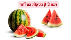 गर्मी का ये फल सेहत के लिए अमृत है, रोजाना खाएंगे तो बॉडी को मिलेंगे 5 फायदे, एक्सपर्ट से जानिए