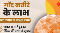 लिवर की गर्मी को शांत करता है गोंद कतीरा, गर्मी में अमृत है ये फूड, रोज़ इस तरह करें सेवन मिलेंगे 4 फायदे