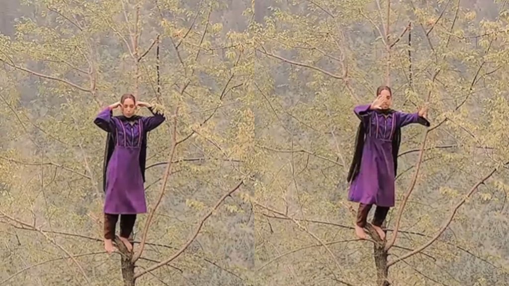 Kashmiri woman dance on tree,woman dance on tree to Jhalla Wallah song,woman dance on tree