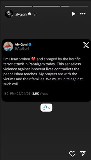 Aly goni post
