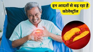 Bad Habits Increases Cholesterol
