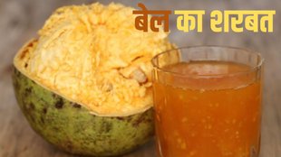 Bel Ka Sharbat । Bel Ka Sharbat recipe
