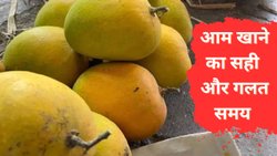 इस समय भूलकर न खाएं आम? खाने से पहले जरूर करें ये काम, सेहत पर नहीं पड़ेगा बुरा असर