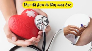 heart muscles, heart, heart test, Troponin Test, Lipid Profile Test, Lipid Profile Test benefits, Best test for heart, test for heart