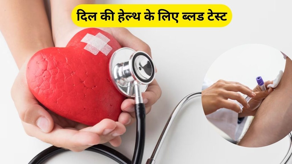 heart muscles, heart, heart test, Troponin Test, Lipid Profile Test, Lipid Profile Test benefits, Best test for heart, test for heart