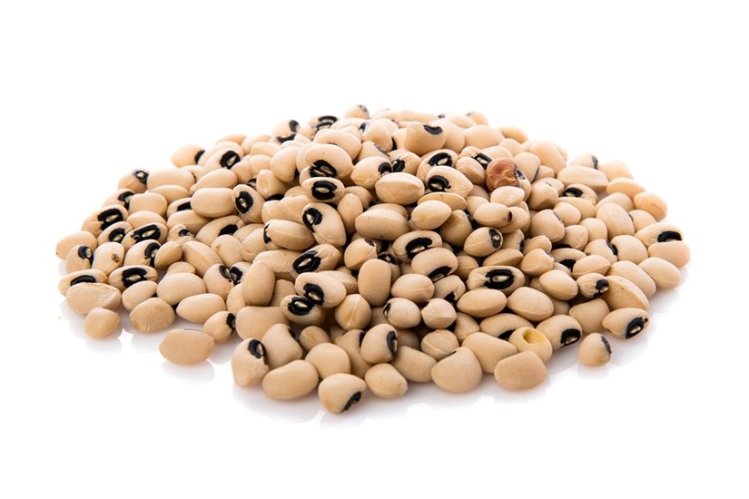 Seeds
