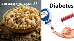 क्या डायबिटीज मरीज काजू खा सकते हैं? क्या ये नट Blood sugar और चर्बी को बढ़ाता है, एक्सपर्ट से जानिए