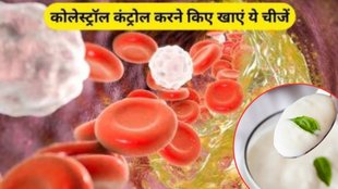 Cholesterol control