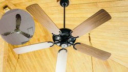 घर के पंखों को कैसे करें साफ? यहां जानिए पुराने Ceiling Fan पर जमी धूल और चिकनाई हटाने का आसान तरीका