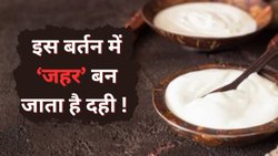 भूलकर भी इन बर्तनों में नहीं जमाए दही, सेहत पर जहर की तरह पड़ेगा बुरा असर