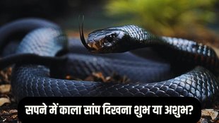 Black Snake In Dream, snake dream meaning, dream snake