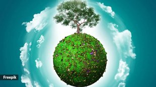 Earth Day 2025 | Earth Day date Earth Day history