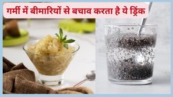 Summer Drinks: गर्मी का खज़ाना है गोंद कतीरा, ड्रिंक बनाकर पी लें तपिश भरी गर्मी में बॉडी होगी कूल, थकान कमजोरी का हो जाएगा इलाज