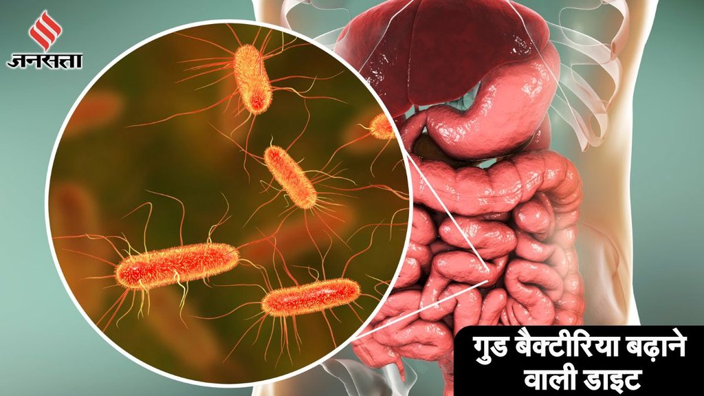 Probiotics,Curd,Foods That Have More Probiotics Than Curd,Greek Yogurt, Kefir, Kimchi, Sauerkraut, Miso,Kombucha,Tempeh,Sol Kadhi