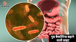 जिसे आप खराब फूड जानकर फेक देते है वह है आंतों के लिए सबसे बेस्ट, अरबों गुड बैक्टीरिया का जन्मदाता, नाम जान लीजिए