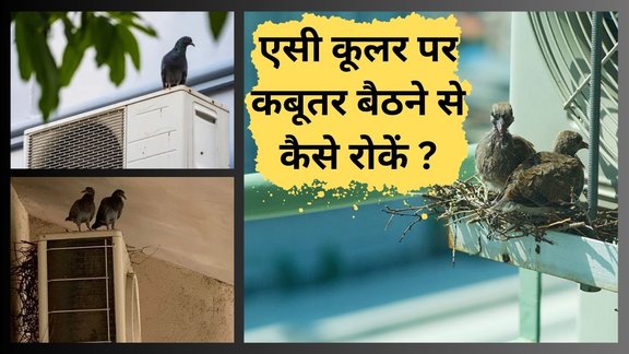pigeons। AC। pigeon repellent home remedy