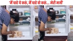 फ्रिज में घुसकर बैठ गया डॉगी, महिला ने निकलने को कहा तो दिखाने लगा बच्चों जैसे नखरे, Viral Video देख यूजर्स बोले – गर्मी इतनी है कि…