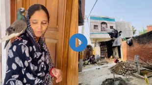 Viral Video| Funny Video| Trending Video