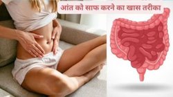 गर्मियों में गड़बड़ा गया पेट तो दही के साथ इन चीजों को खाना कर दें शुरू, आंतों की भी हो जाएगी सफाई