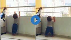 बालकनी से झांक रहा था छोटा बच्चा, पालतू बिल्ली ने भांप लिया खतरा और फिर जो किया…, Viral Video देख रह जाएंगे हैरान