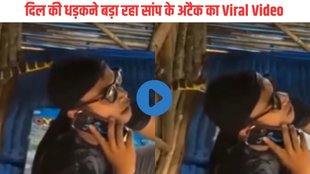 Snake Attack| Snake Attack Viral Video| Viral Video