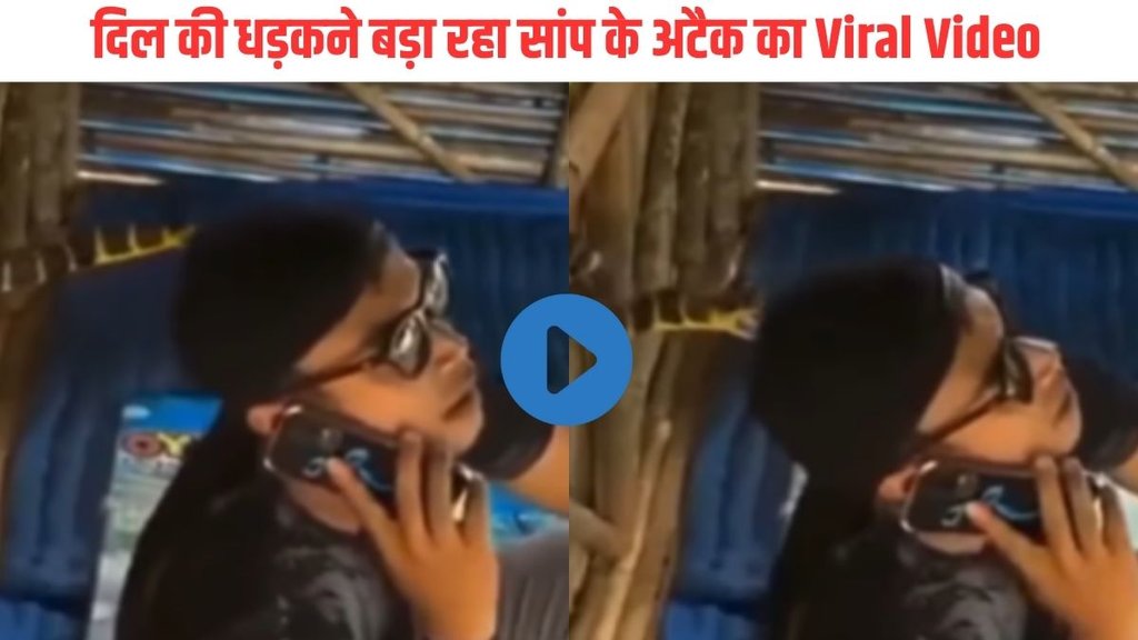 Snake Attack| Snake Attack Viral Video| Viral Video