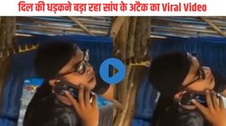 मोबाइल पर बात कर रहा था शख्स, तभी पीछे से जहरीले सांप ने सिर पर किया हमला और फिर…, कमजोर दिल वाले ना देखें Viral Video