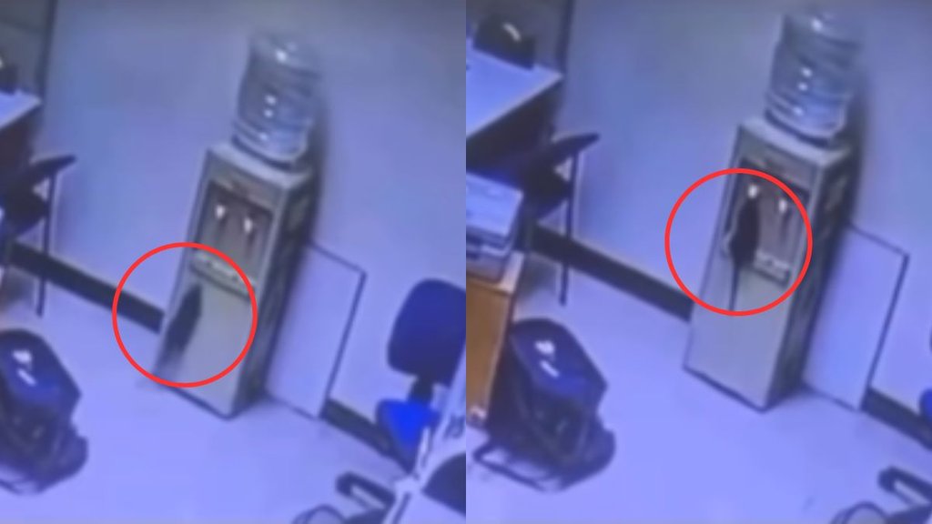 viral video, office dirty water video, office unhygienic water video
