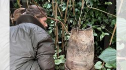 घर में सालों से रखा था टूटा-फूटा गमला, फेंकने से पहले महिला ने किया चेक, अंदर देख चौंकी, बदल गई ज़िंदगी