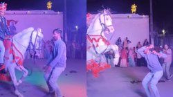 दूल्हे को अपनी पीठ पर बैठाए डांस करने लगी घोड़ी, Viral Video देख हैरान रह गए यूजर्स, कहा – चेतक के बाद…