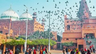 Krishna Janmabhoomi Shahi Idgah Case | Mathura janmbhoomi case | supreme court | allahabad high court