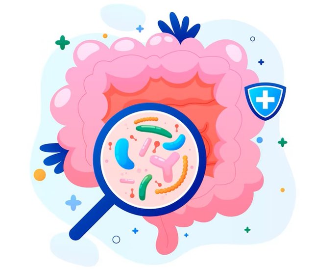 Loss of Good Bacteria