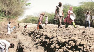 MGNREGA