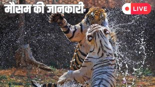 Kal Ka Mausam Kaisa Rahega | imd alert | weather forecast