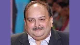 Mehul Choksi News | Belgium News | Belgium India Extradition