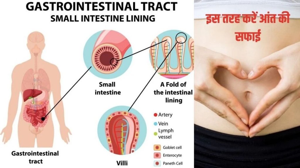 Gut Health, Kombucha, yogurt, kefir, SCOBY, Probiotics, Fermented Vegetables, Fermented foods for gut health, Probiotic foods, how to improve gut health, Fermented foods benefits