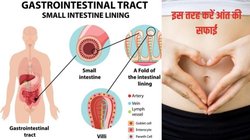 आंतों में जमा सारी गंदगी की हो जाएगी सफाई, इन 5 फूड्स को रोज खाना कर दें शुरू