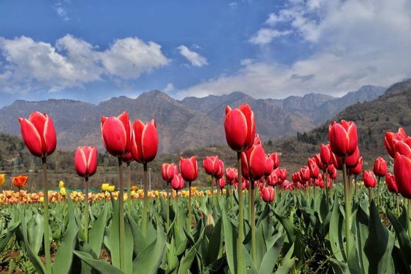 Pahalgam old Name and Meaning